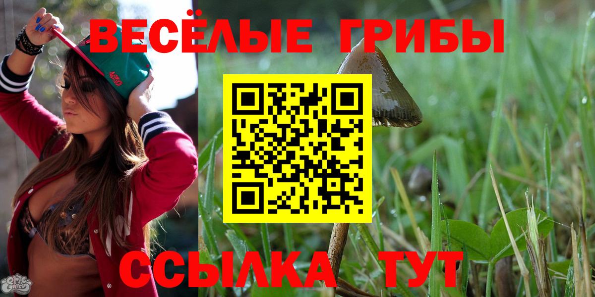 Галлюциногенные грибы ЛСД  Вход с VPN  Грязи  Галлюциногенные грибы Cubensis 